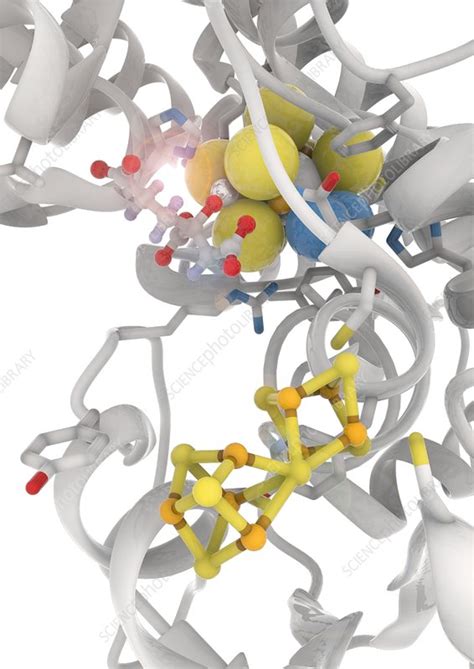 Illustration of a nitrogenase enzyme's active site - Stock Image - C046 ...