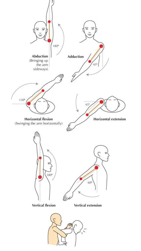 C5 C6 Cervical Radiculopathy Pinched Nerve Stretches - vrogue.co