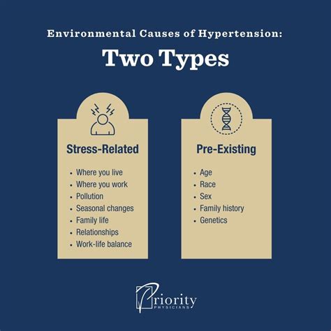 Environmental Causes of High Blood Pressure (Hypertension)