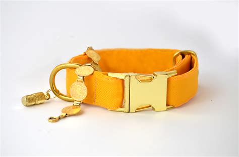 Gold dog collar yellow dog collar majestic rich dog collar | Etsy