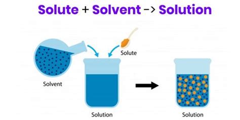 Solvent in Chemistry - Assignment Point