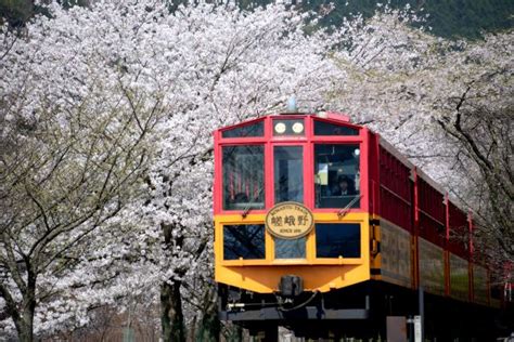 The Best Guide to Sagano Scenic Railway