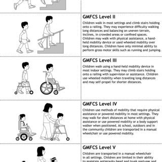 Expanded and revised Gross Motor Function Classification System (GMFCS... | Download Scientific ...