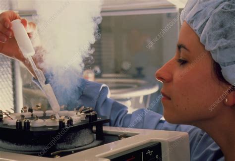 IVF: frozen embryos being removed from storage - Stock Image - M802 ...