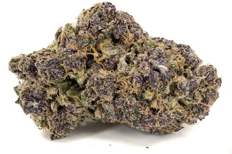 Triceratops strain - Get High Cannabis Dispensary