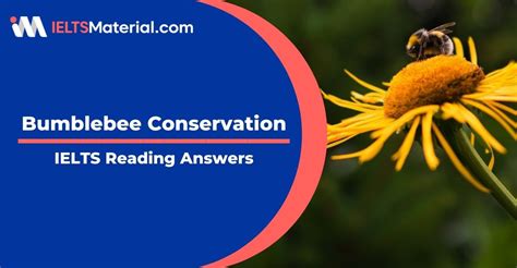 Bumblebee Conservation- IELTS Reading Answers. | IELTSMaterial.com