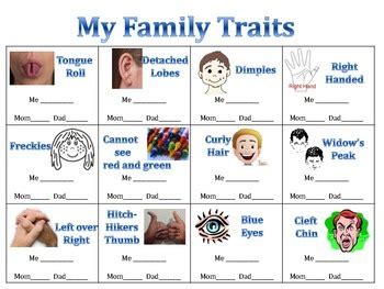 Heredity Unit - Family Traits Scavenger Hunt | Middle school science activities, Heredity ...