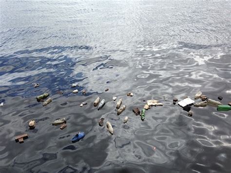 Ocean Pollution: Causes and Effects - The Water Geeks