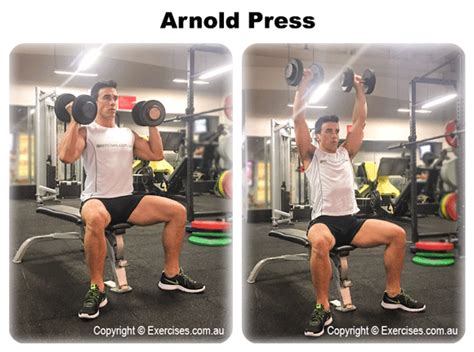 Arnold Press