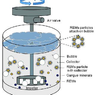 A schematic illustration of a mechanical flotation cell. | Download ...