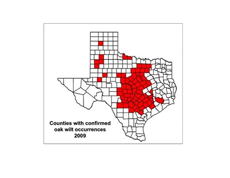 San Antonio, Surrounding Cities Work To Mitigate Oak Wilt Problem - Oak Wilt Texas Map ...