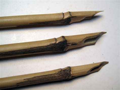 Natural Reed Pens