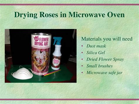 PPT - Drying Roses by Cindy Garrett PowerPoint Presentation, free download - ID:278527