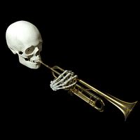 Image result for skeleton moving gifs | Skull, Stuff and thangs ...