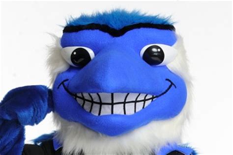 Johns Hopkins Blue Jay mascot is named ... wait for it ... Jay | Hub