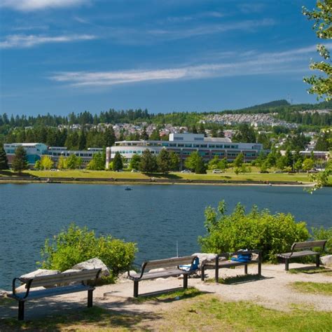 Coquitlam Parks Seniors Choose for the Best Weekend Picnics