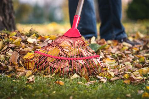 15 Different Types Of Rakes And Their Uses, 50% OFF