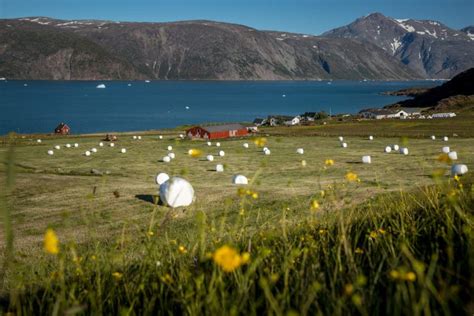 South Greenland – activities in the Garden of Greenland