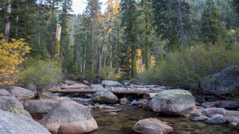 Clark Fork Campground, Stanislaus National Forest - Recreation.gov