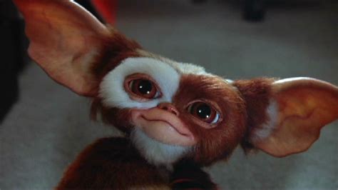 Gremlins: Secrets of the Mogwai Officially Ordered to Series