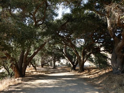 Malibu Creek State Park | Discover Los Angeles