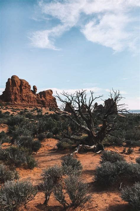 Where to See the Best Arches National Park Sunrise in 2024