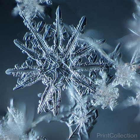 Snowflake 007.2.9.2014 aåÊ12 Branched StaråÊSnowflake photographed in Buffalo, New York, by ...