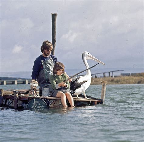 Storm Boy - Greg Rowe, Gordon Noble and pelican production still | NFSA