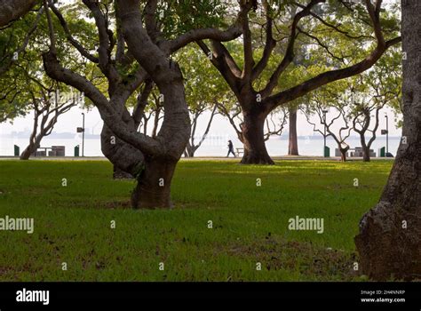 East Coast Park in Singapore Stock Photo - Alamy