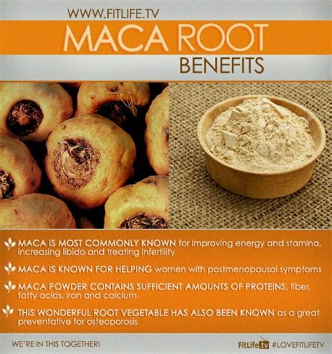 Macca Root Benefits | Food facts, Nutribullet recipes, Food