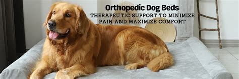 Orthopedic Memory Foam Dog Beds – Dog Quality