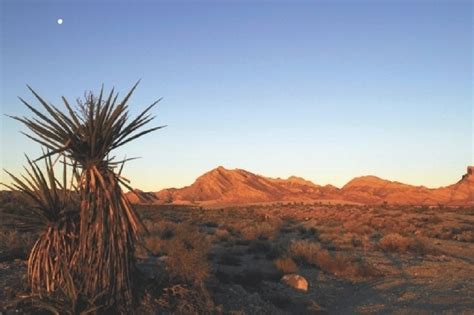 Woman dies in fall while hiking Calico Basin | Courts | Crime