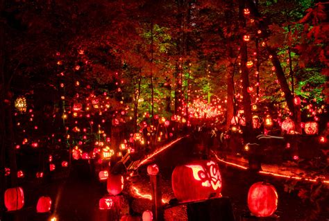 Louisville Jack O'Lantern Spectacular » October 1 - November 2, 2024