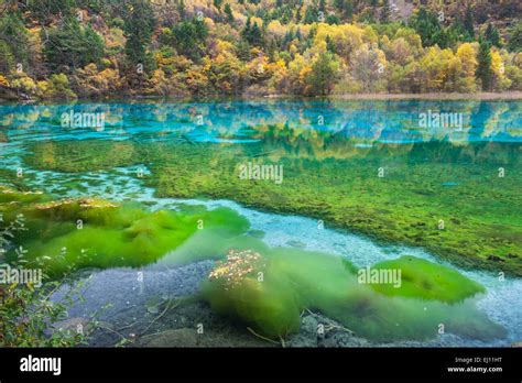 Five flowers lake china hi-res stock photography and images - Alamy