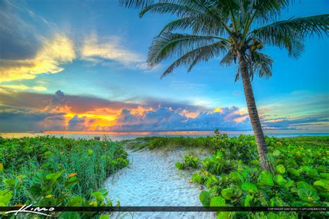 Delray Beach Florida Sunrise at Beach with Coconut Tree