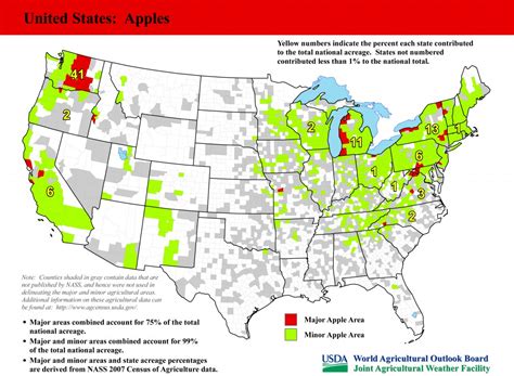 Where are Apples Grown in the United States?