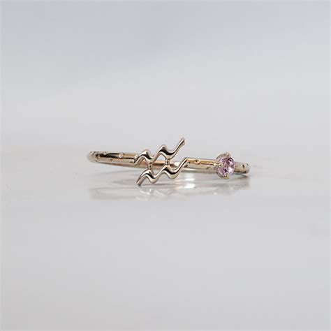 14K Aquarius Horoscope Birthstone Ring (Amethyst + Garnet) | Tippy Taste Jewelry