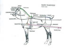 38 draft horse harness diagram - Diagram For You