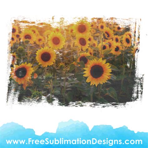 Sublimation - Free Sublimation Designs