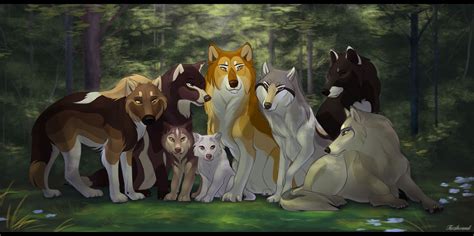 A New Beginning by Tazihound on deviantART | Anime wolf, Canine art, Cartoon wolf