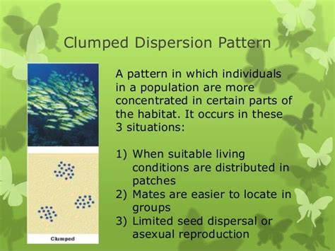 Population dynamics presentation