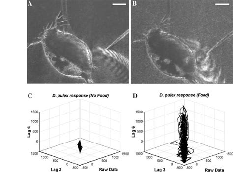 Schlieren system images under the two different conditions with their ...