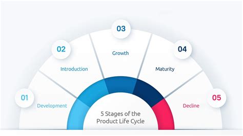 How to Maximize the 5 Stages of the Product Life Cycle