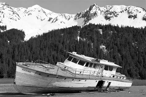 Seward (Anchorage), Alaska Cruises - Excursions, Reviews, & Photos ...