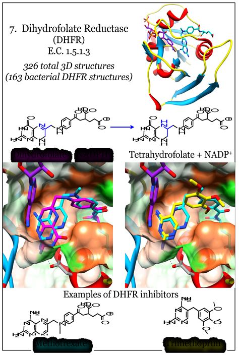 Antibiotics | Free Full-Text | Utility of the Biosynthetic Folate ...