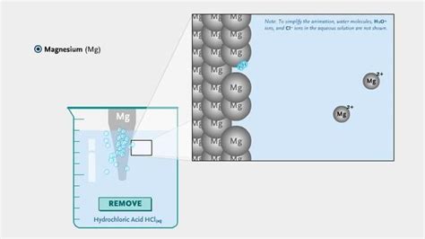 Metals in Hydrochloric Acid | Science | Interactive | PBS LearningMedia