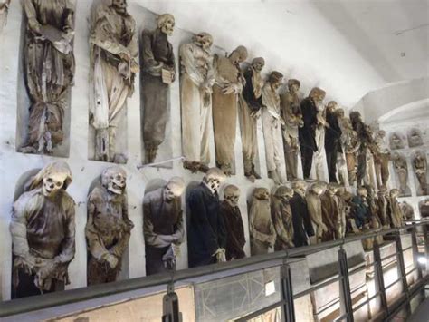 Mummies displayed along the sides of the corridors of the Catacombs of... | Download Scientific ...