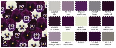 Pansy color palette | Pansies, Color palette, Color