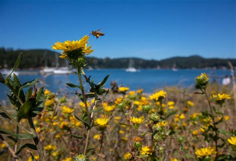 Deception Pass Hiking Trails