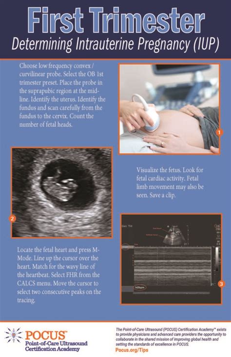 First Trimester: Determining Intrauterine Pregnancy (IUP)